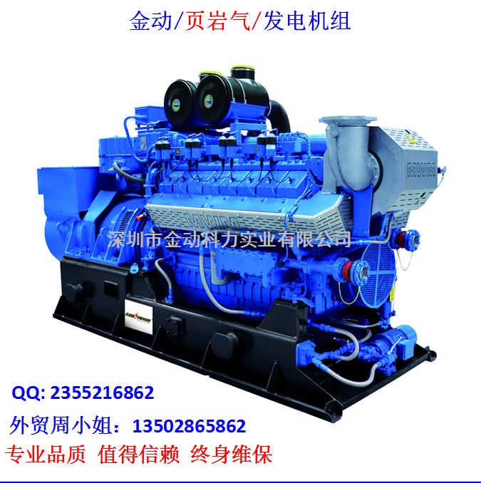 【深圳頁(yè)巖氣發(fā)電機(jī)】 發(fā)展趨勢(shì)無(wú)懈可擋！