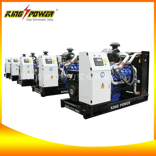 【沼氣發(fā)電機(jī)組生產(chǎn)商】讓沼氣也得到重視！