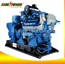 【養(yǎng)殖場沼氣發(fā)電機】功能強大