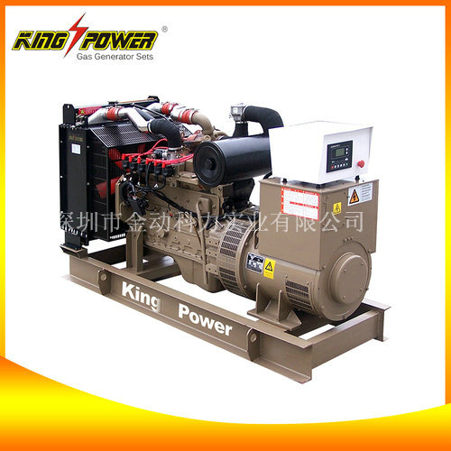 廣東沼氣發(fā)電機(jī),沼氣發(fā)電機(jī)價(jià)格